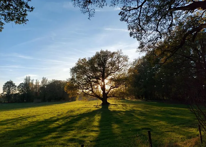 Klein Ni'jenhoes Winterswijk